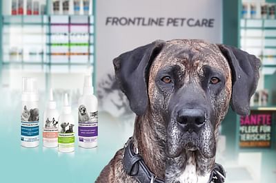 FRONTLINE PET CARE INFLUENCER MARKETING AM POI - Onlinewerbung