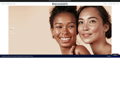 Desarrollo web | The Cool Skin - Estrategia digital