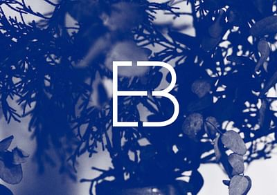 Eva Bonsai – Arquitectura hecha de sueños - Branding y posicionamiento de marca