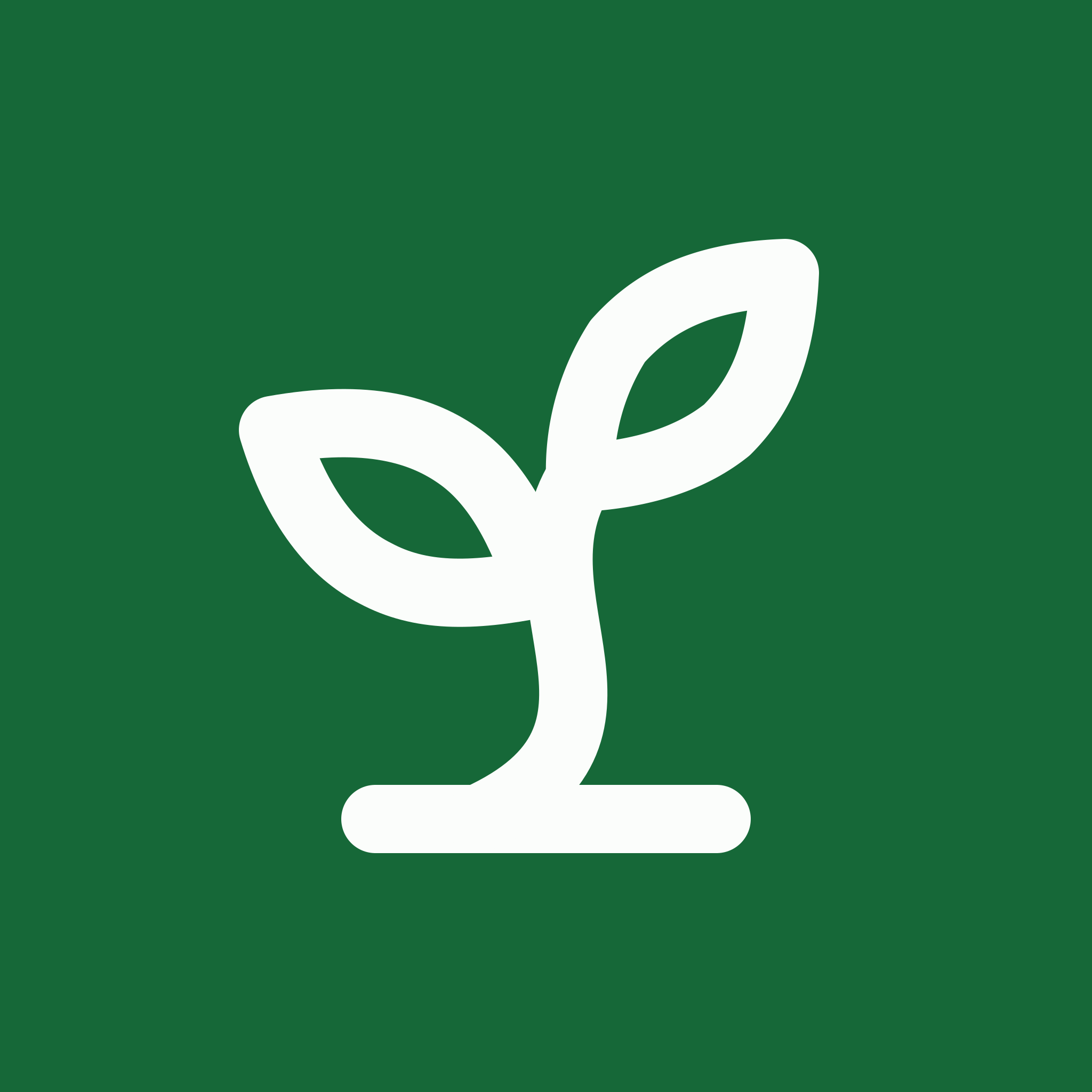 Let It Grow Agency