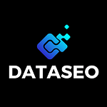 Dataseo Agency