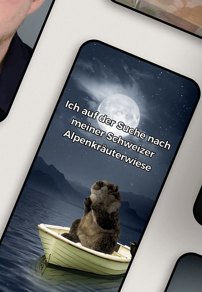 Projekt / Ricola - Onlinewerbung