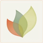 Senses Web Solutions logo
