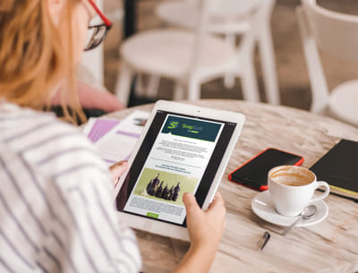 SEO-Content für mehr Sichtbarkeit im E-Commerce - Onlinewerbung