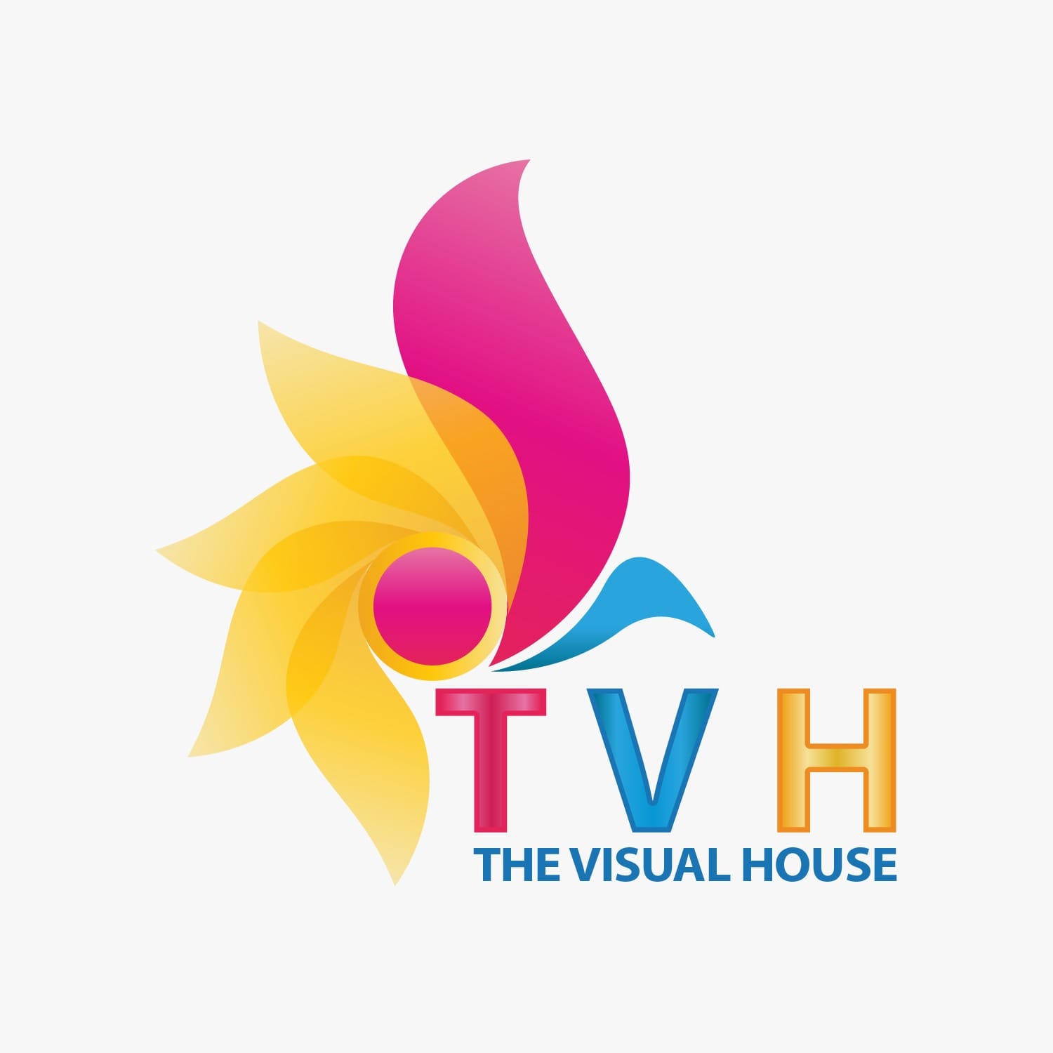 The Visual House