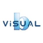 b.Visual Design