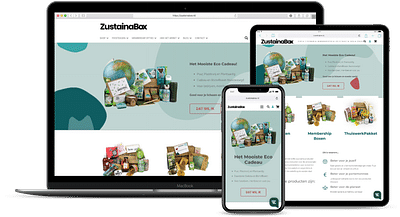 Website Audit voor Zustainabox - SEO