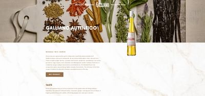 Website voor Galliano - Website Creation