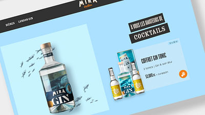 Création d'un site E-commerce - Bières Mira - Textgestaltung