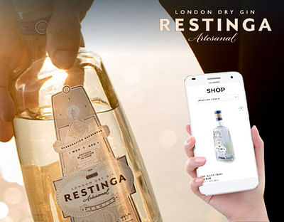 Restinga Gin: Website a medida + E commerce - Webseitengestaltung
