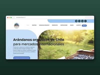 El Rodeo Farm: sitio bilingüe con SEO para exportador de arándanos - Website Creation