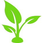 Electric Sprout