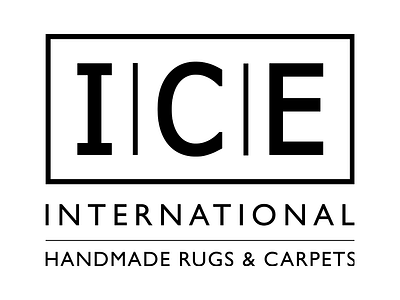 ICE International & We Make IT - Website Creatie