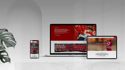 HELLENIC RED CROSS WEB SITE - Creación de Sitios Web
