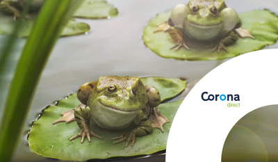Corona Direct - Image de marque & branding