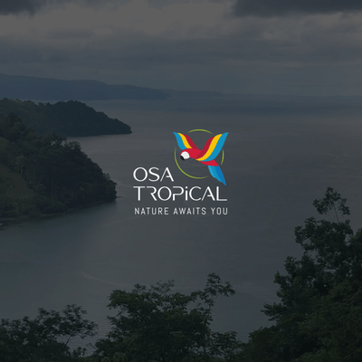 [Des-Dev] Osa Tropical - Branding y posicionamiento de marca