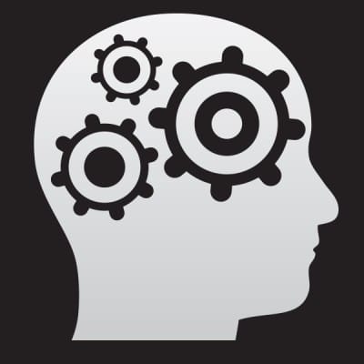 The Marketing Minds Group Inc