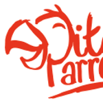 PitchParrot