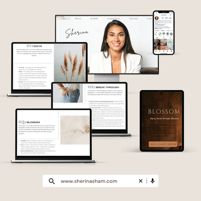 Creación de nueva línea de servicios Sherina - Estrategia digital