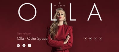 Website Design - Graphic Design