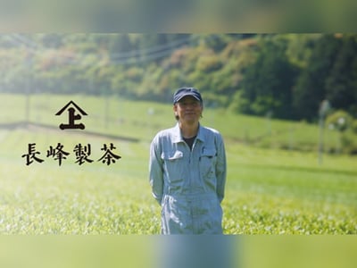 NAGAMINE SEICHA: 45 wholesale leads in 2 months - Online Advertising