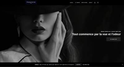 Création d'un site E-Commerce - Software Development