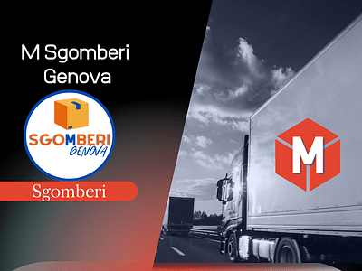 Progetto Marketing  M Sgomberi Genova - Stratégie digitale