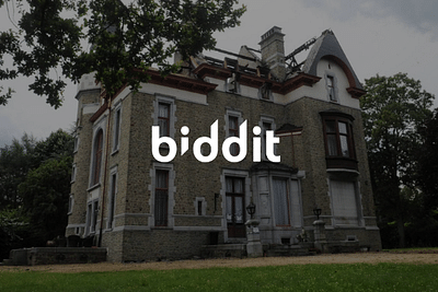 STRATÉGIE DIGITALE + UX | BIDDIT - Web analytique/Big data