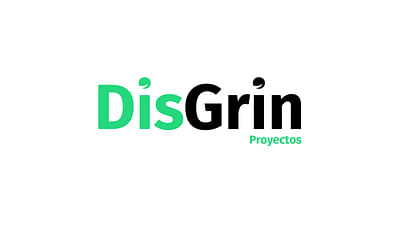 Disgrin - Branding + Diseño y Desarrollo Web - Webseitengestaltung