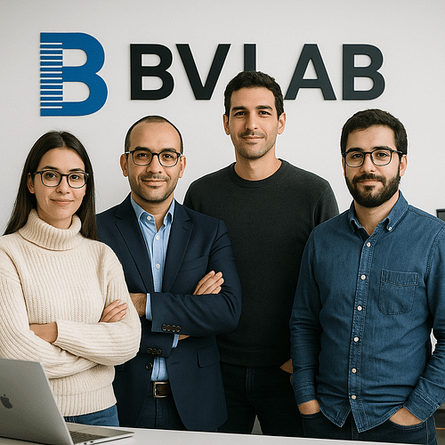 Bvlab cover