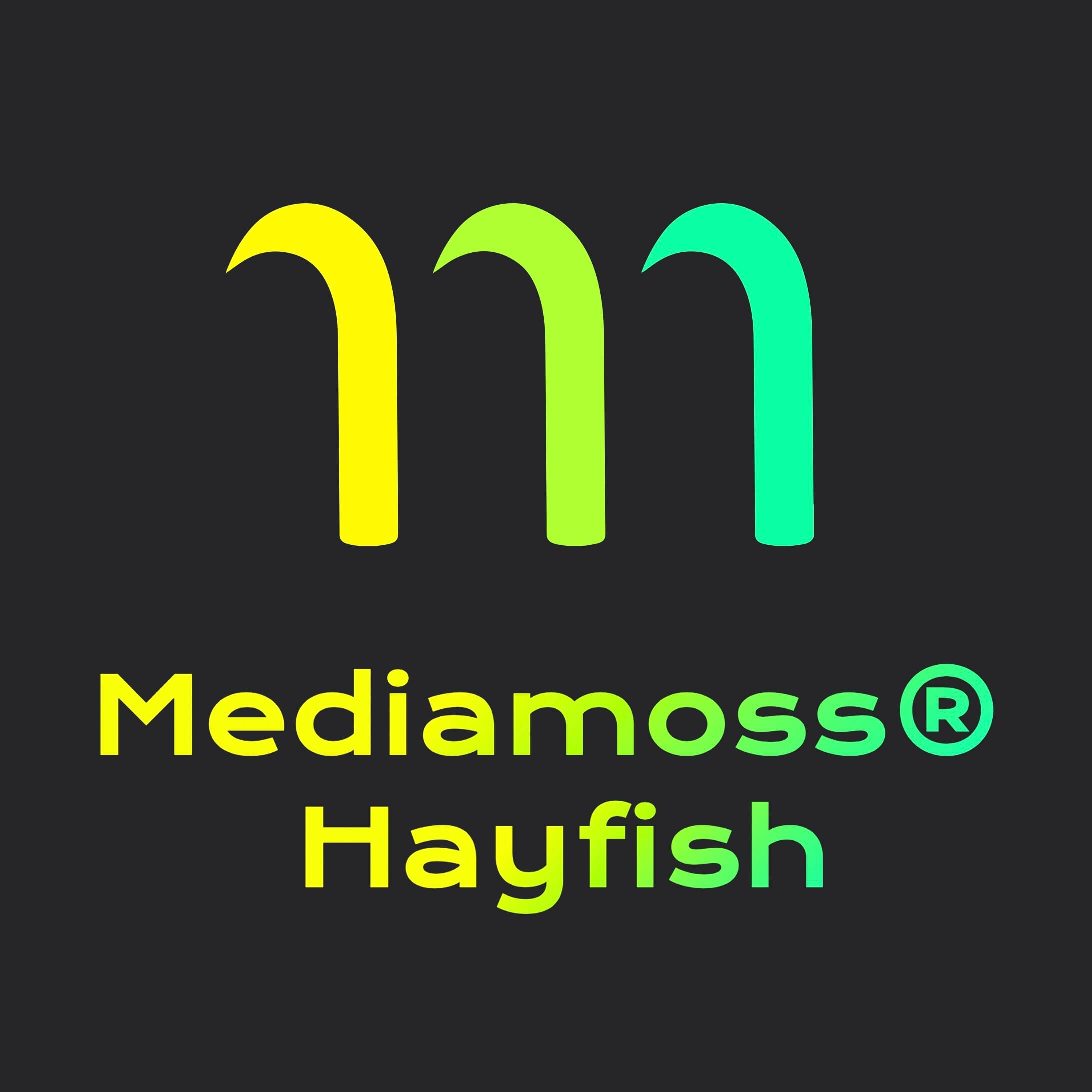 Mediamoss GmbH. Hayfish Social Media