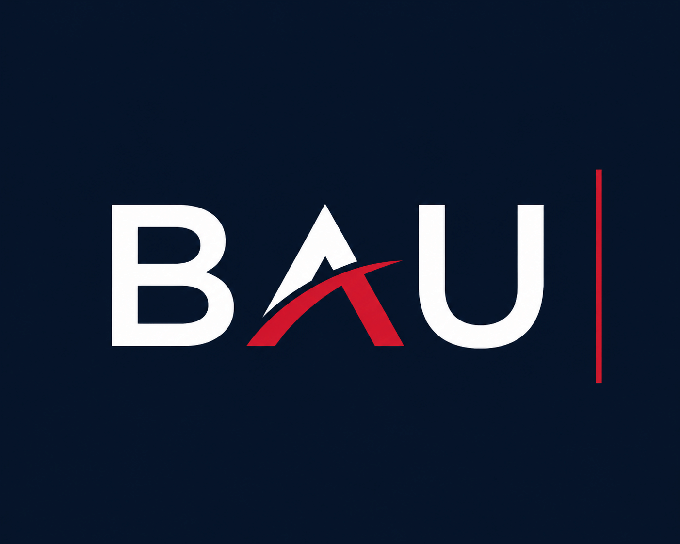 BAU Risk Services