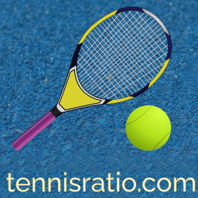 Tennis ratio - Référencement naturel