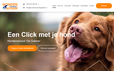 Maatwerk administratief systeem in WordPress - Online Advertising