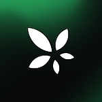 The Cannabis Marketing Agency