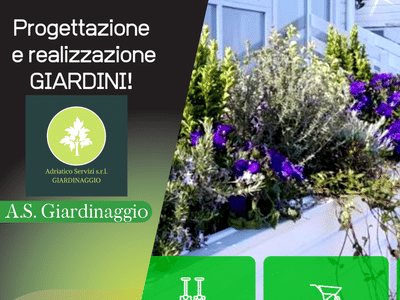 Progetto Marketing Adriatico Servizi S.r.l. - Stratégie digitale