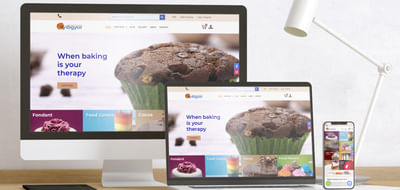 VIBGYOR CULINARY SOLUTION - Webseitengestaltung