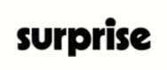 Stratégie Marketing Digital Surprise Ltd (SEO, SEA+Emailing) - SEO