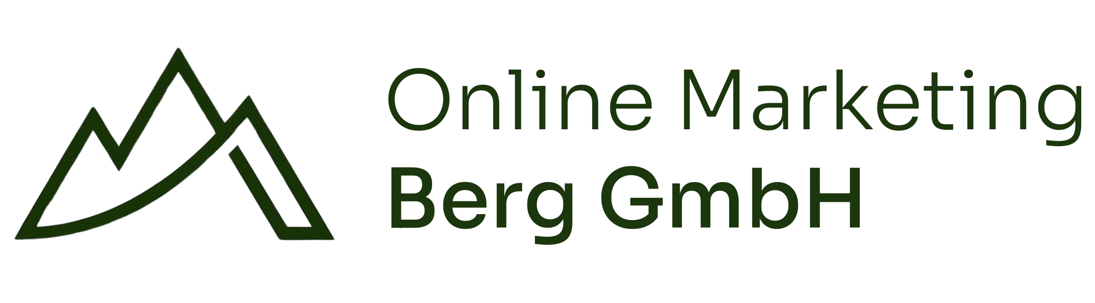 Online Marketing Berg GmbH