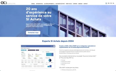 CKS Consulting — développement web et SEO pour un cabinet achats - Référencement naturel