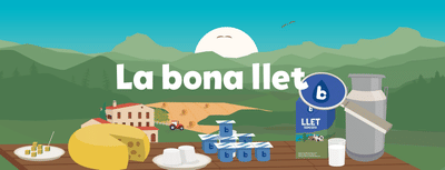 La bona llet - Creación de Sitios Web