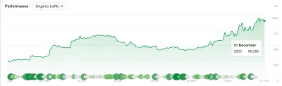 NimbusHR's growth - SEO