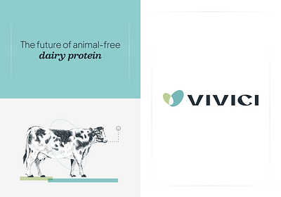 Vivici - Branding & Website - Website Creation