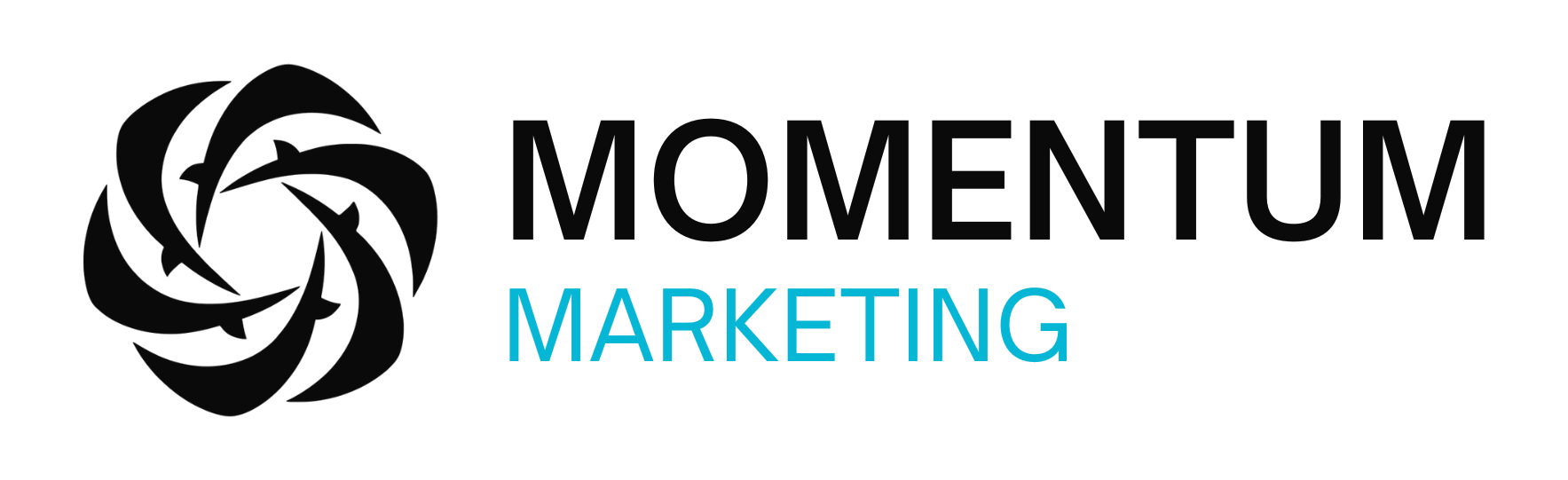 Momentum Marketing