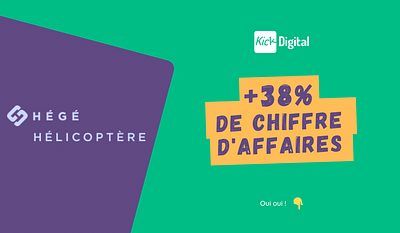 +38% de CA - Hégé Hélicoptère - Online Advertising