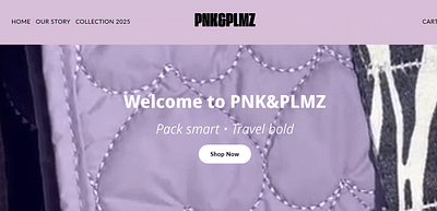 Social Media Strategy - E-commerce - PNK & PLMZ - Digital Strategy