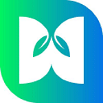 WebMint Inc - Digital Marketing & Web Development