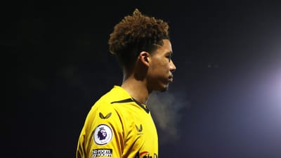 Wolves Academy Website - Grafikdesign