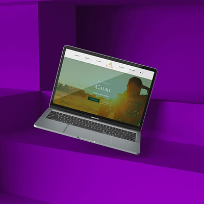 Site eCommerce - Cauri - Création de site internet