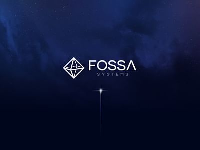 FOSSA Systems - SEO